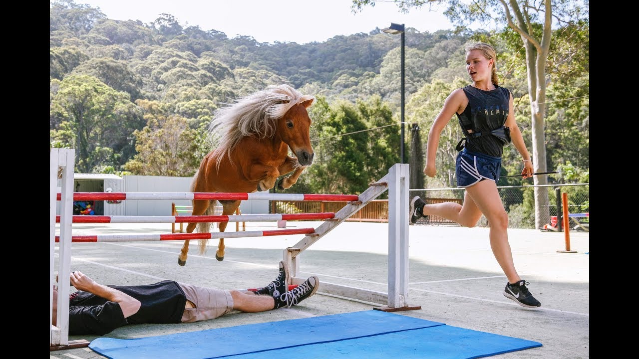 Crunch - The Miniature Horse With A Big Jump